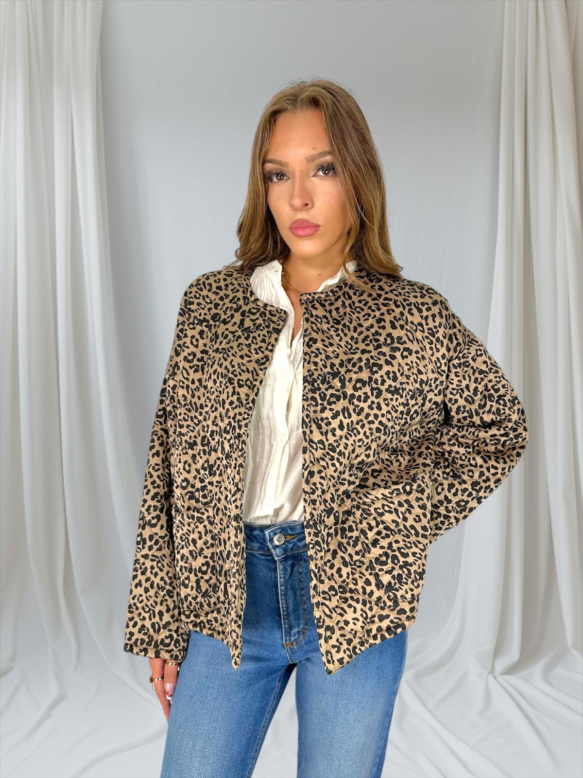 Bomber Lusy